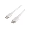 USB kabelis Belkin BoostCharge 1m USB C balts USB 2.0