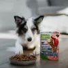ANIMAL ISLAND Everyday Monoproteīna teļa gaļa - mitrā suņu barība - 300g