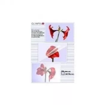 Laminēšanas plēves Olympia 1x50 DIN A3 125 mikroni