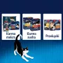 Felix Fantastic trusis, jērs - mitrā barība kaķiem 340 g (4x 85 g)