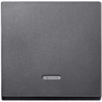 MERTEN EL SM 431014 - System M, rokturis, kontrollogs, antracīts, matēts (431014)