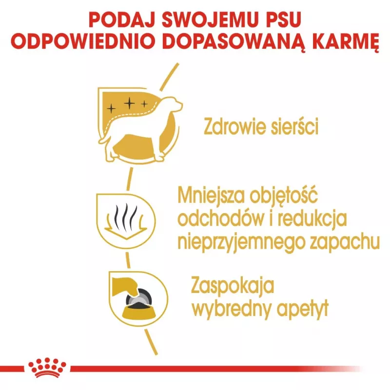 Sausā suņu barība Royal Canin Maltese Adult 1.5 kg — vista, 24% olbaltumvielu, 18% tauku