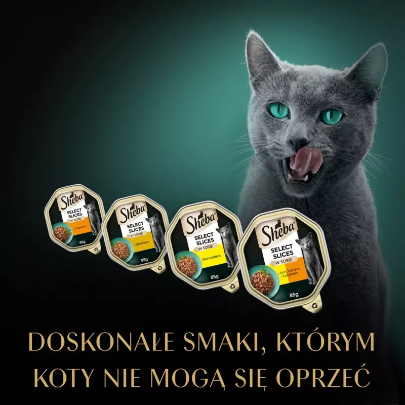 Mitrā kaķu barība Sheba paplātē Mērce Mājputni (vistas gaļa, tītara gaļa) 32 x 85 g paplāte