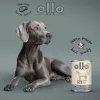 OLLO Pure Horse - mitrā suņu barība - 400g