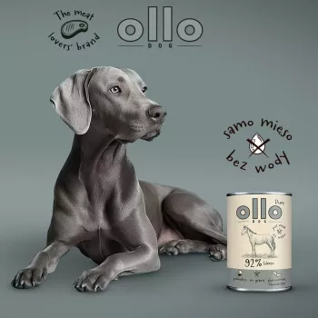 OLLO Pure Horse - mitrā suņu barība - 400g