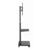 Gembird TVS-75S-02 televizora grīdas statīvs ar ritenīšiem, 37–75 inch, melns