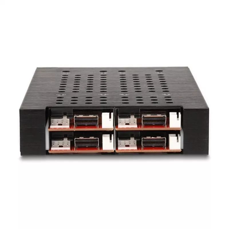 HDD Cage DeLOCK 47072 Rack Saderīga Metal 100mm platums