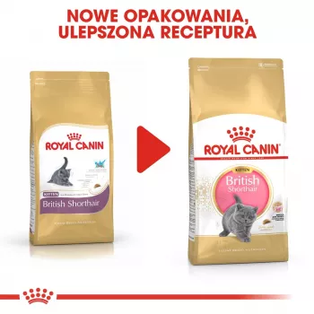 Sausā kaķu barība Royal Canin British Shorthair Kitten 2 kg – vista, 38% olbaltumvielu, 20% tauku, augšanas formula