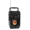 Squeak Bassblaster Bluetooth 5.1 skaļrunis, FM radio, MP3 atskaņotājs SQ1001