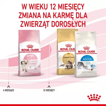 Royal Canin FHN Kitten sausā barība kaķēniem, 4 kg