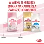 Sausā kaķu barība Royal Canin Kitten 4 kg ar mājputnu garšu — jauno kaķēnu sausā diēta, 36% olbaltumvielu, 18% tauku