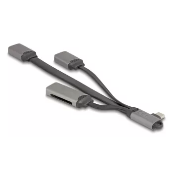 DeLOCK 64303 USB 3.2 Gen 1 Type-C centrmezgls 5000 Mbit/s Pelēks