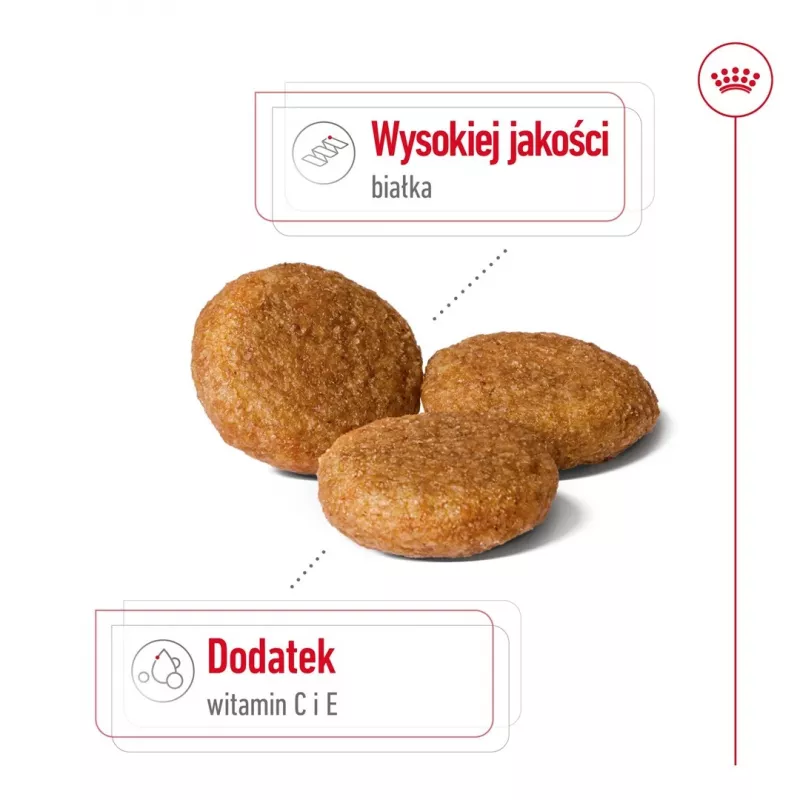 Sausā suņu barība Royal Canin SHN Medium Adult 15 kg — pilnvērtīgs uzturs pieaugušiem vidējo šķirņu suņiem, mājputnu gaļa, 25% olbaltumvielu, 14% tauku