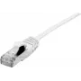Tīkla kabelis Dexlan 858742 0,3 m Cat6a S/FTP RJ-45