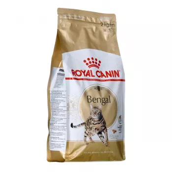 Graudaugu sausā kaķu barība Royal Canin Bengal Adult 2 kg — mājputnu gaļa, 40% olbaltumvielu, 18% tauku, gremošanas un ādas kopšana