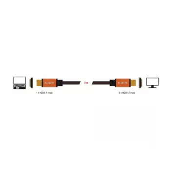 HDMI kabelis DeLOCK 85729 2 m HDMI Type A Standard Melns Gold