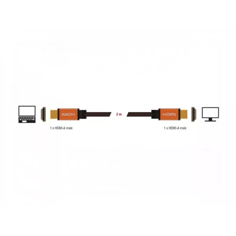 HDMI kabelis DeLOCK 85729 2 m HDMI Type A Standard Melns Gold