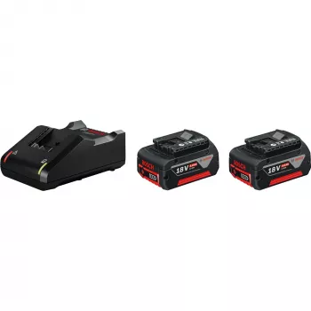 Bosch 1 600 A01 9S0 bezvada instrumentu akumulators / lādētājs Akumulatora un lādētāja komplekts