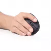 Gembird MUSW-ERGO-01 pelei labajai rokai RF bezvadu optiskā 1600 DPI