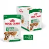 Mitrā suņu barība Royal Canin Mini Ageing 12+ Adult paciņā 85 g — mazām šķirnēm, mājputnu, senioriem