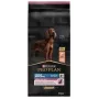 PURINA Sensitive Skin Large Athletic Adult Salmon - sauso barību suņiem - 14 kg
