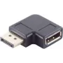 Kabeļu dzimuma mainītājs DisplayPort ShiverPeaks BS10-78002