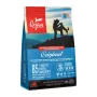 ORIJEN Dog Oriģināls - sausā suņu barība - 2kg