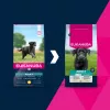Sausā suņu barība EUKANUBA Adult Large Chicken 15 kg — pilnvērtīga sausā barība pieaugušiem lielo šķirņu suņiem, vistas gaļas garša, 15 kg