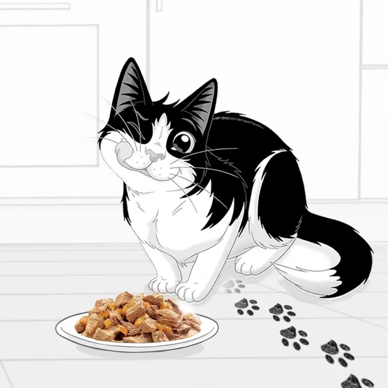 Mitrā kaķu barība Felix PURINA paciņa 85 g — pieaugušiem kaķiem, truša garša, 82% mitrums, 11.5% olbaltumvielas