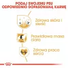 Royal Canin Cocker Adult sausā barība suņiem, 12 kg