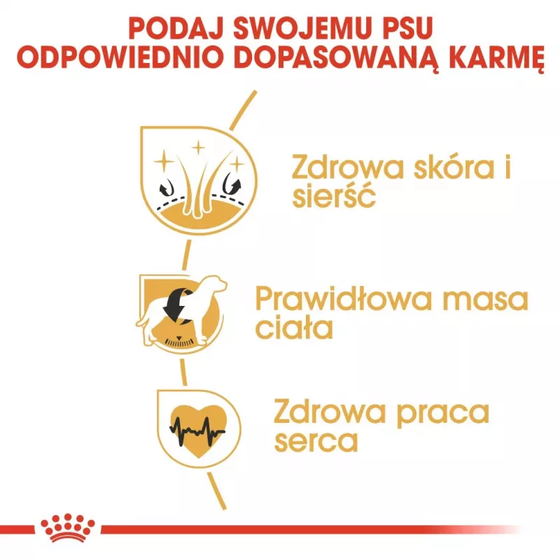 Royal Canin Cocker Adult sausā barība suņiem, 12 kg