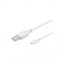 Wentronic 95143 USB kabelis balts