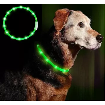 LED kakla siksna Anicoll zaļa suņiem un kaķiem Modelis uzlādējams apgaismojums