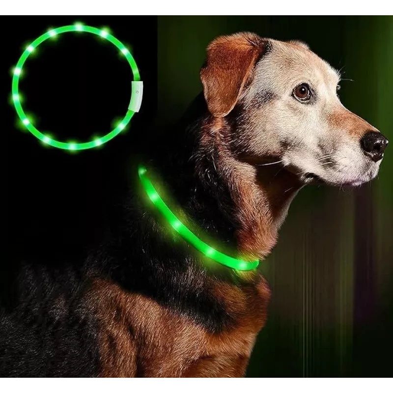 LED kakla siksna Anicoll zaļa suņiem un kaķiem Modelis uzlādējams apgaismojums