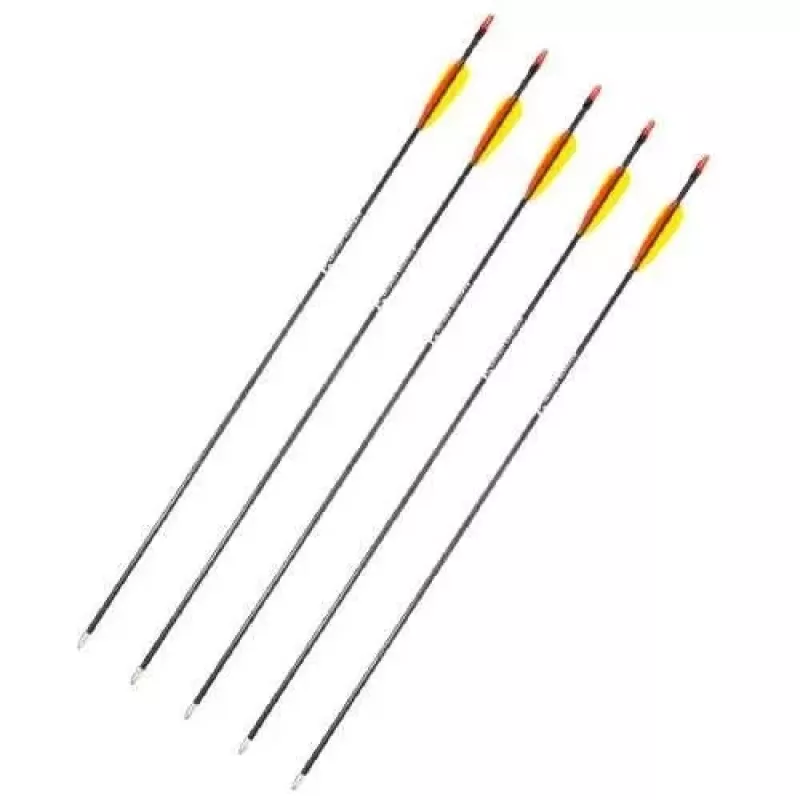 Arrow set POE LANG D-055-B3 — fibreglass arrows, 28 in (710 mm), Melns, set of 5