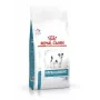 Sausā suņu barība Royal Canin Vet Hypoallergenic Small Dog 1 kg — mājputnu gaļa, 24% proteīnu, 16% tauku, bez laktozes