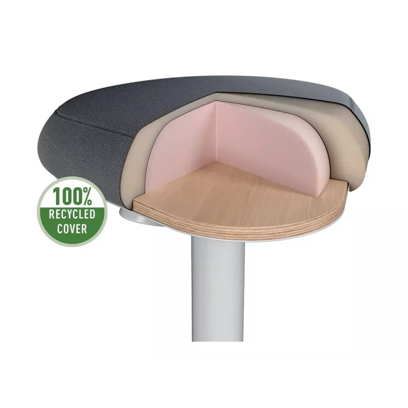 Biroja krēsls Leitz 65440085 Polsterēts sēdeklis Pelēks Plastmasas rāmis