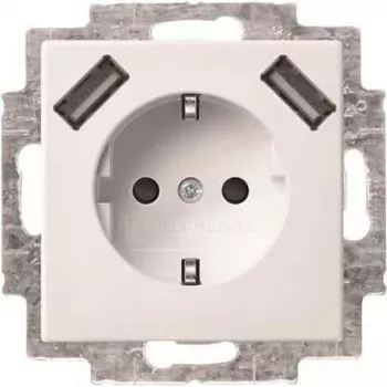Busch-Jaeger SCHUKO-2x USB kontaktligzda 20 EUCB2USB-914 (2CKA002011A6266)