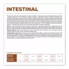 VET EXPERT Veterinary Diet Intestinal Dog - sausā suņu barība - 12 kg