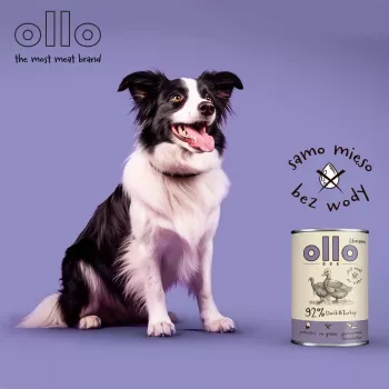 OLLO Umami Pīle un tītars - mitrā suņu barība - 850g