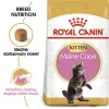 Sausā kaķu barība Royal Canin Maine Coon Kitten 2 kg — mājputnu gaļa, olbaltumvielas 36%, tauki 23%