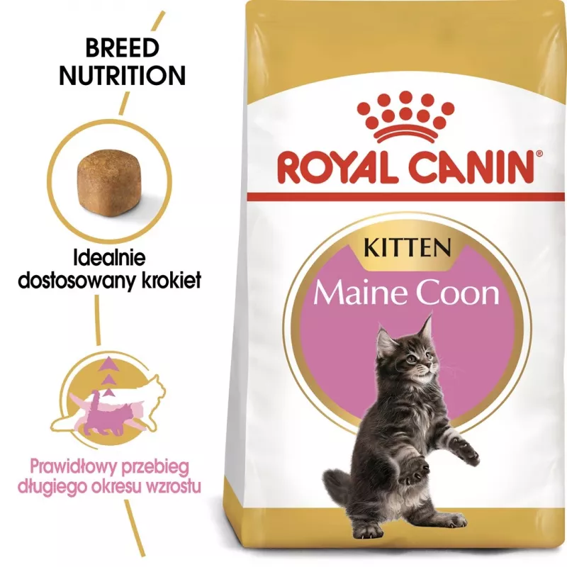 Sausā kaķu barība Royal Canin Maine Coon Kitten 2 kg — mājputnu gaļa, olbaltumvielas 36%, tauki 23%