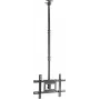 SpeaKa Professional SP-TVCM-540 TV griestu stiprinājums, regulējams augstumā, 94,0 cm, 37–203,2, 80 (SP-13660960)