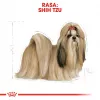 Sausā suņu barība Royal Canin Shih Tzu Adult 7.5 kg — vista, 24% olbaltumvielu, 20% tauku