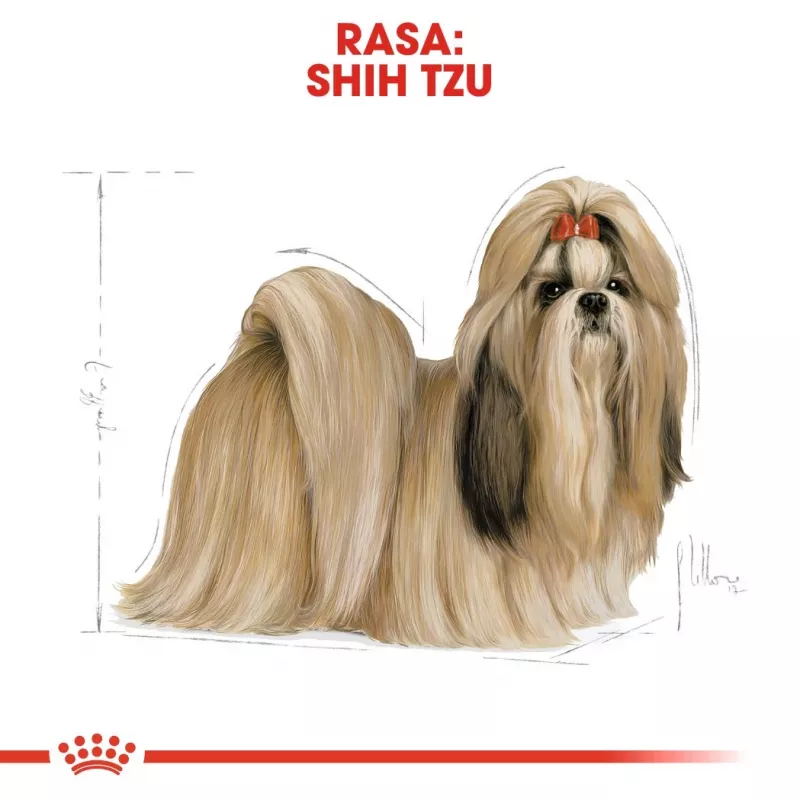 Sausā suņu barība Royal Canin Shih Tzu Adult 7.5 kg — vista, 24% olbaltumvielu, 20% tauku