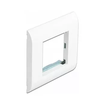Moduļu turētājs DeLOCK Easy 45 80x80 mm Balts
