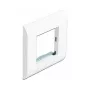 Moduļu turētājs DeLOCK Easy 45 80x80 mm Balts
