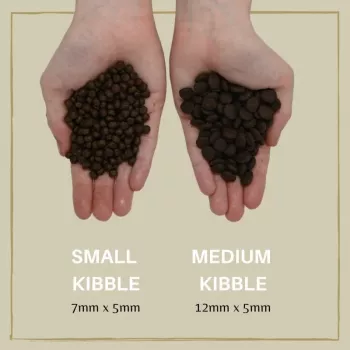 Sausā suņu barība Eden Puppy Cuisine 80/20 vidējas granulas 2 kg — kucēnu formula, lasis, 40% olbaltumvielu, 17,5% tauku