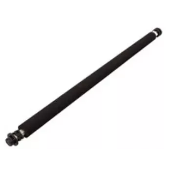 Ricoh B0393820 printera/skanera rezerves daļa/piederums veltnis