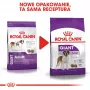 ROYAL CANIN Giant Adult - sausa suņu barība - 15 kg